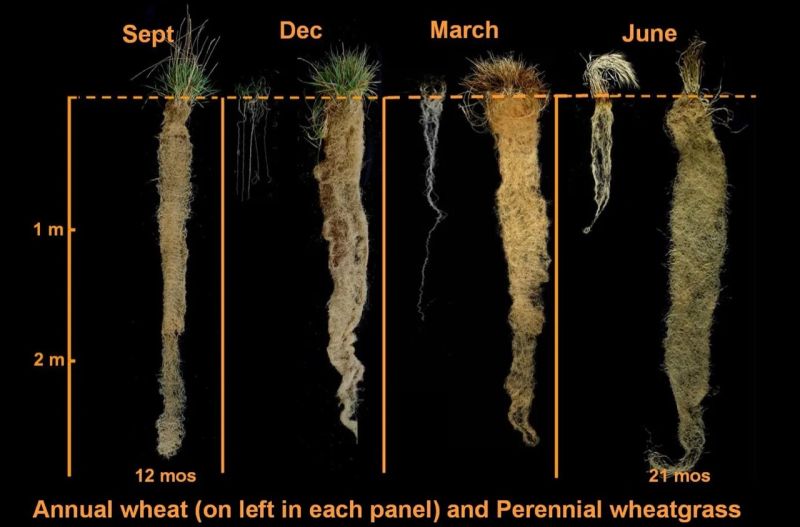 3 Gründe, warum "zurück zu den Grundlagen"