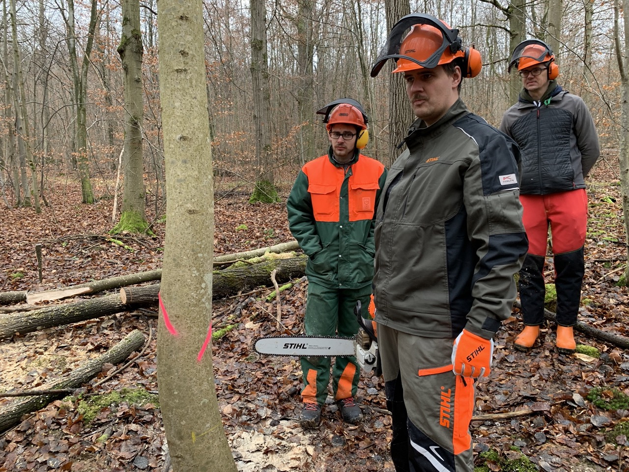 Overwhelmed with a task and don’t know where to start? DDD to the rescue